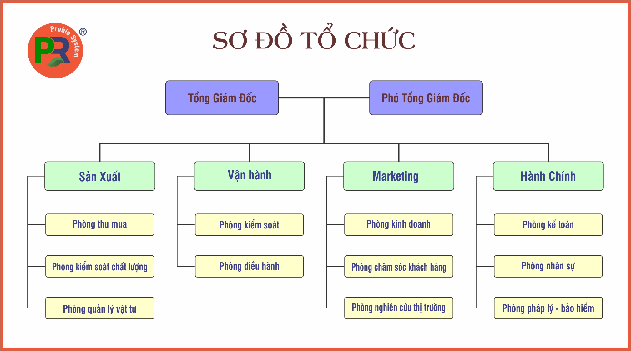 Sơ đồ tổ chức